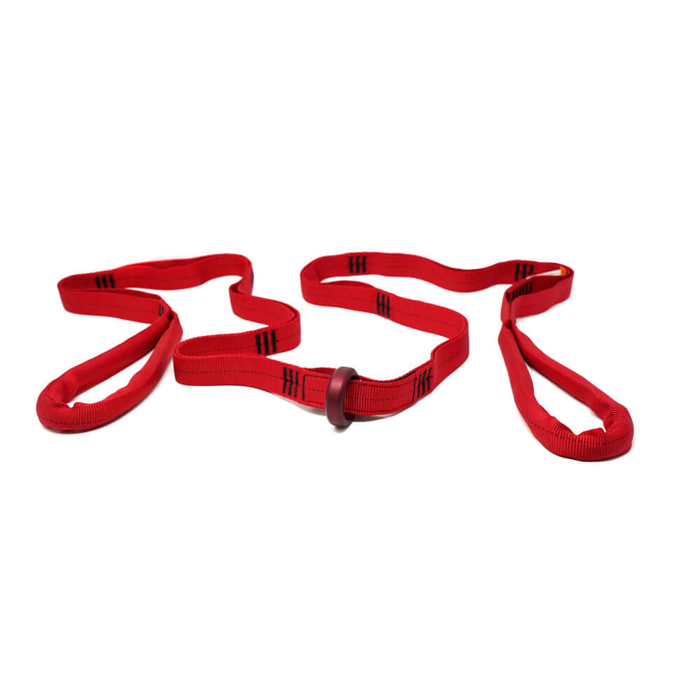 Multi-Loop Rescue Strap