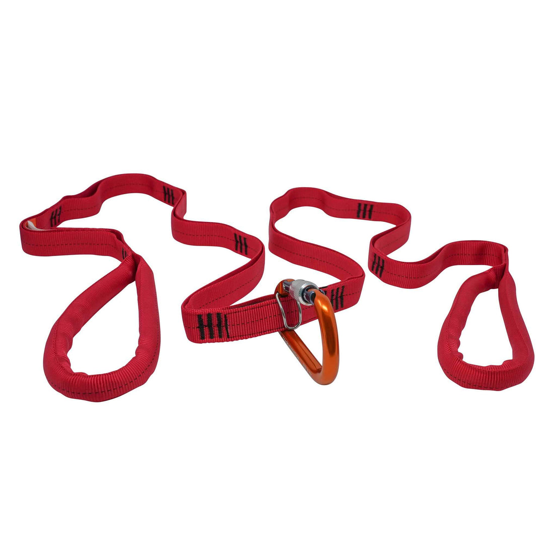 Multi-Loop Rescue Strap